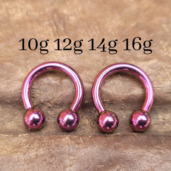 CHOISISSEZ 2 pinces en acier au titane violet Bouchons d'oreilles Jauges de fer à cheval Anneau d'étirement du septum 10 g 12 g 14 g 16 g Barbell circulaire gros bijoux rose