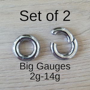 COPPIA Argento 2g 4g 6g 8g 10g 12g 14g Cerchio a Segmento con Cerniera Orecchini a Cerchio in Acciaio Calibri Grandi Piercing all'Orecchio Tappi per Cartilagine Uomo Donna 316L