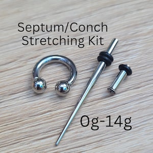 Steel Septum Conch Ear Stretching Kit Taper Tunnel Plug Horseshoe Nose Gauges Gauging 0g 2g 4g 6g 8g 10g 12g 14g jewelry set Silver 2mm 3mm