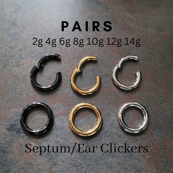 PAIR 2g 4g 6g 8g Hinged Clicker Segment Ring Hoop Earring Ear Silver Gold Black Steel Big Gauge Septum Stretching Kit Piercing 10g 12g 14g