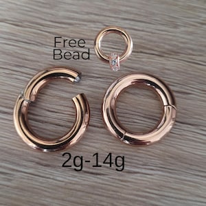 PAR de pendientes de aro con cierre de clic y bisagra, de oro rosa, de 2 g, 4 g, 6 g, 8 g, 10 g, 12 g y 14 g, de acero, para perforaciones de oreja, tapones de cartílago, para hombres y mujeres.