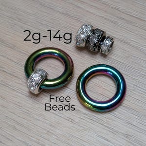 PAR de anéis de aço arco-íris com clicker 2g 4g 6g 8g 10g 12g 14g Brincos de argola articulados, calibres grandes, piercing de orelha, plugues de cartilagem, homens, mulheres, concha, hélice