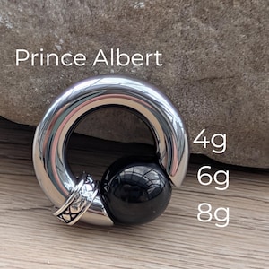 May include: A circular silver-toned captive bead ring featuring a smooth, polished finish and a single black spherical bead. The jewelry includes a decorative textured band near the bead and displays the text Prince Albert, 4g, 6g, and 8g.