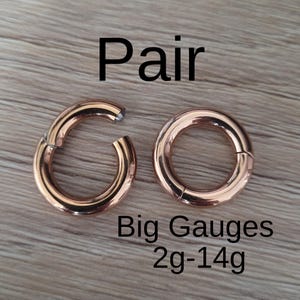PAIR Rose Gold 2g 4g 6g 8g 10g 12g 14g Hinged Clicker Segment Ring Hoop Earrings Steel Big Gauges Ear Piercing Cartilage plugs men women
