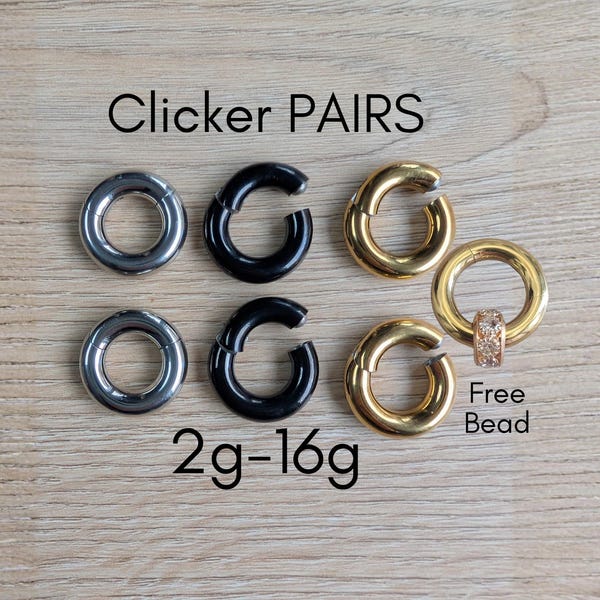PAAR 2g 4g 6g 8g Scharnierend Clicker Segment Ring Hoop Earring Oor Zilver Goud Zwart Staal Big Gauge Septum Stretching Kit Piercing 10g 12g 14g