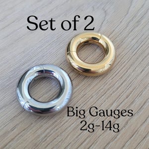 Septum Stretching Clicker Rings Set Gold Silver 2g 4g 6g 8g 10g 12g 14g Hinged Hoop Earrings Steel Big Gauges Ear Piercing plugs men women