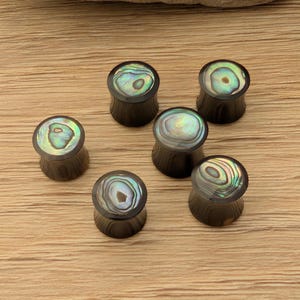 Par de plugues de orelha de chifre de búfalo orgânico de concha de abalone, medidores de 2g 0g 00g 7/16 1/2 9/16 5/8 3/4 polegadas, mulheres bonitas, únicas e coloridas, tamanho grande