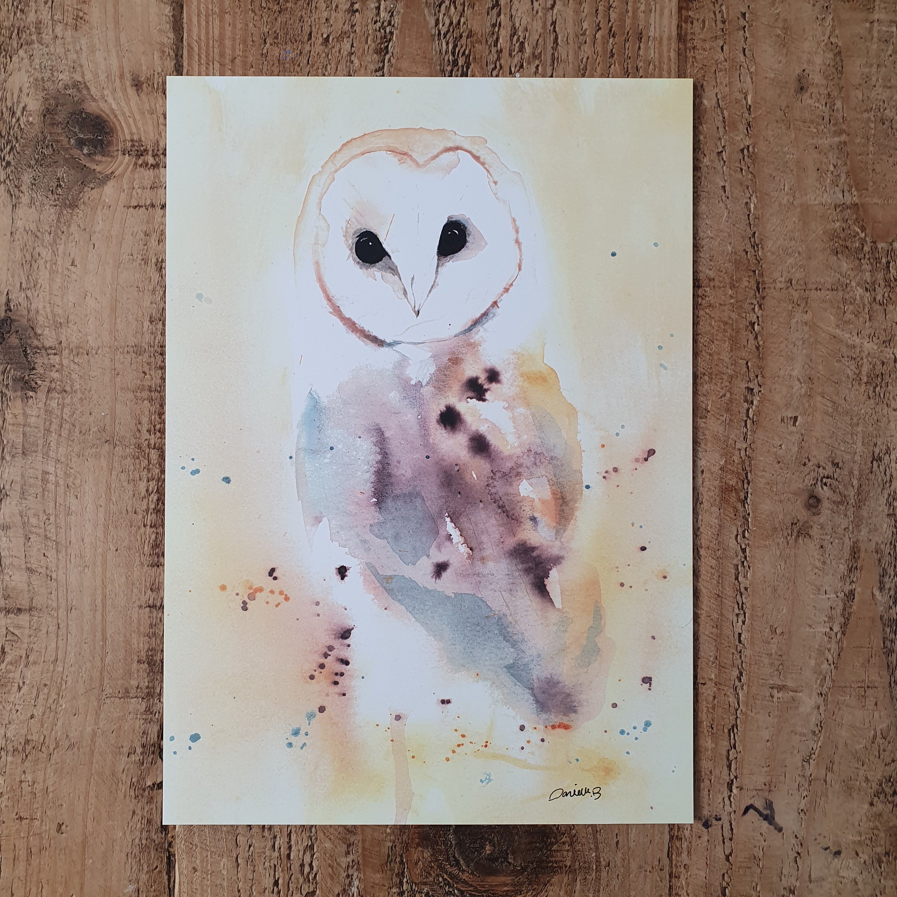 Barn Owl - Original Watercolour Print