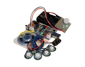 300 seconden Windows 10-compatibele geluidsmodule voor cosplay en Halloween met PIR, lichtsensor en knoppen