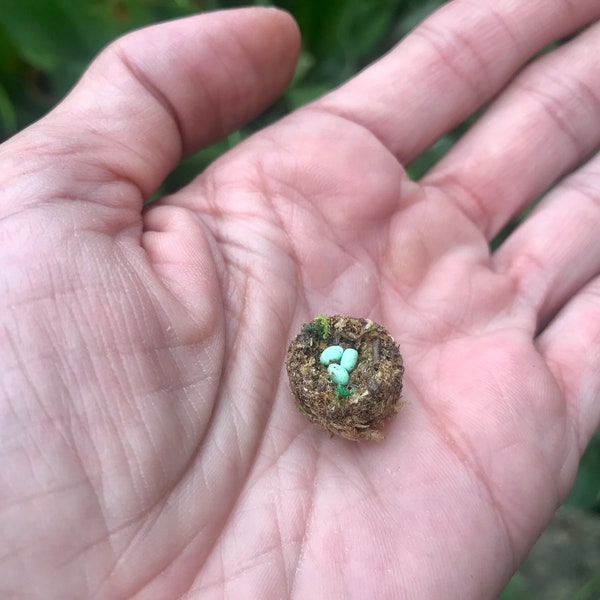 1/2" dollhouse bird nest with eggs, miniature birds nest with eggs, miniature eggs, doll house miniatures, fairy garden nest, tiny nest