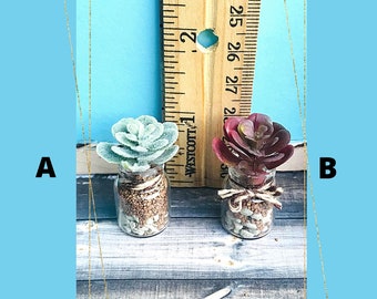 May include: Two small glass jars with faux succulents. The jar on the left has a green succulent and the jar on the right has a red succulent. Both jars have small rocks and brown gravel at the bottom.