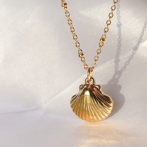 Long lasting gold shell charm necklace, dainty seashell, gold beach jewelry for summer, costal charm, fisherman aesthetic, tarnish resistant