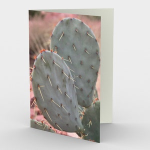 Jeu de 3 cartes Prickly Pear Set in the Southwest, Desert Card,