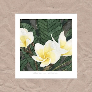 West-Indian Frangipani (Plumeria Alba) Poster / Watercolour Art Print