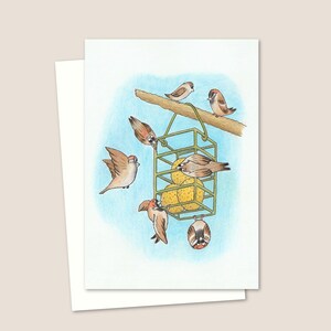 Carte de voeux oiseaux de jardin - Illustration de la nature dessinée à la main, adaptée à toutes les occasions - Intérieur vierge pour votre propre message