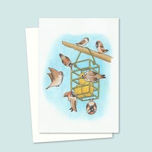 Garden Birds Greeting Card with a Hand Drawn Nature Illustration Suitable for Any Occasion, Blank inside for your own Message