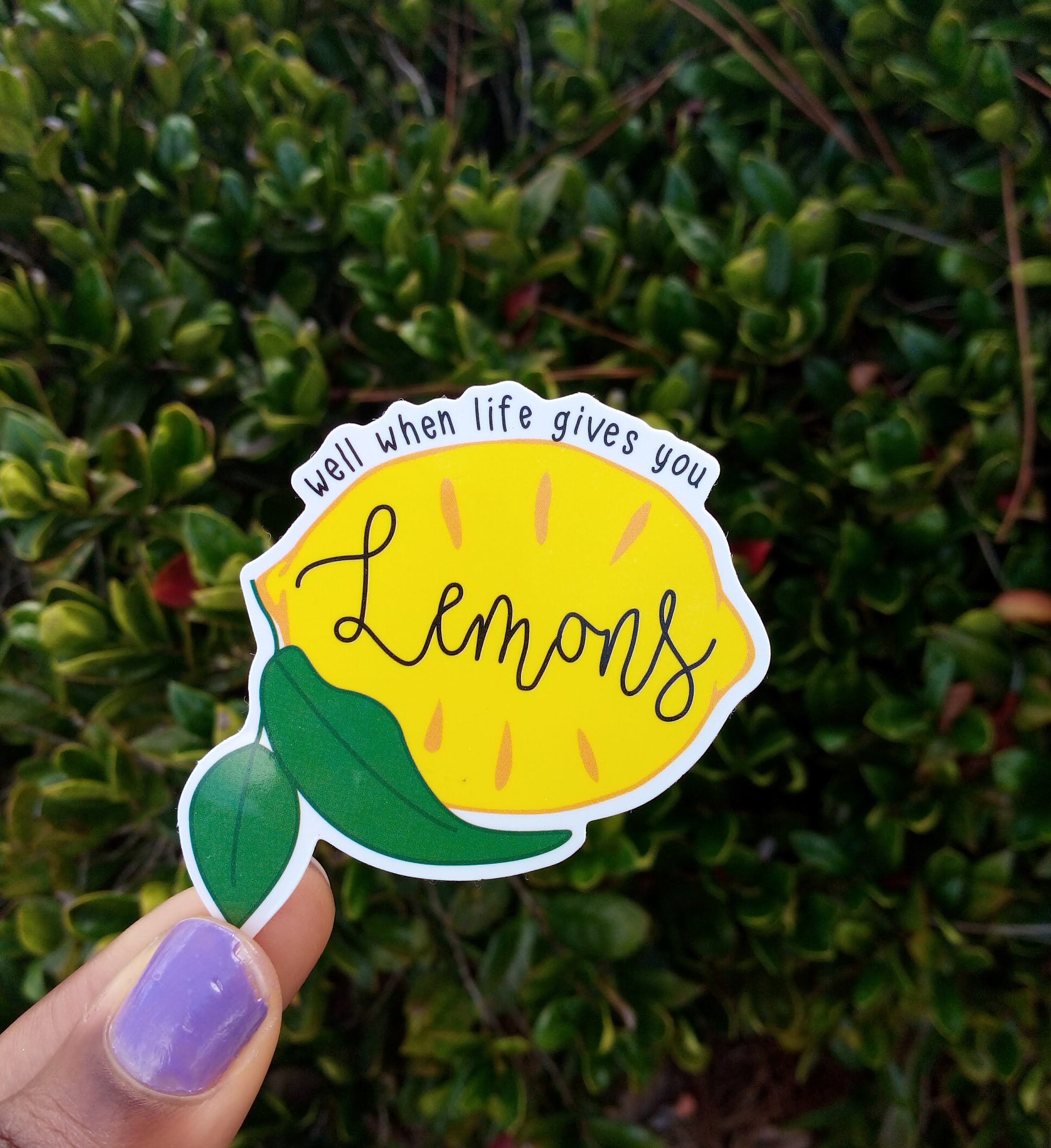 When life gives you lemons vine sticker Waterproof vinyl Etsy