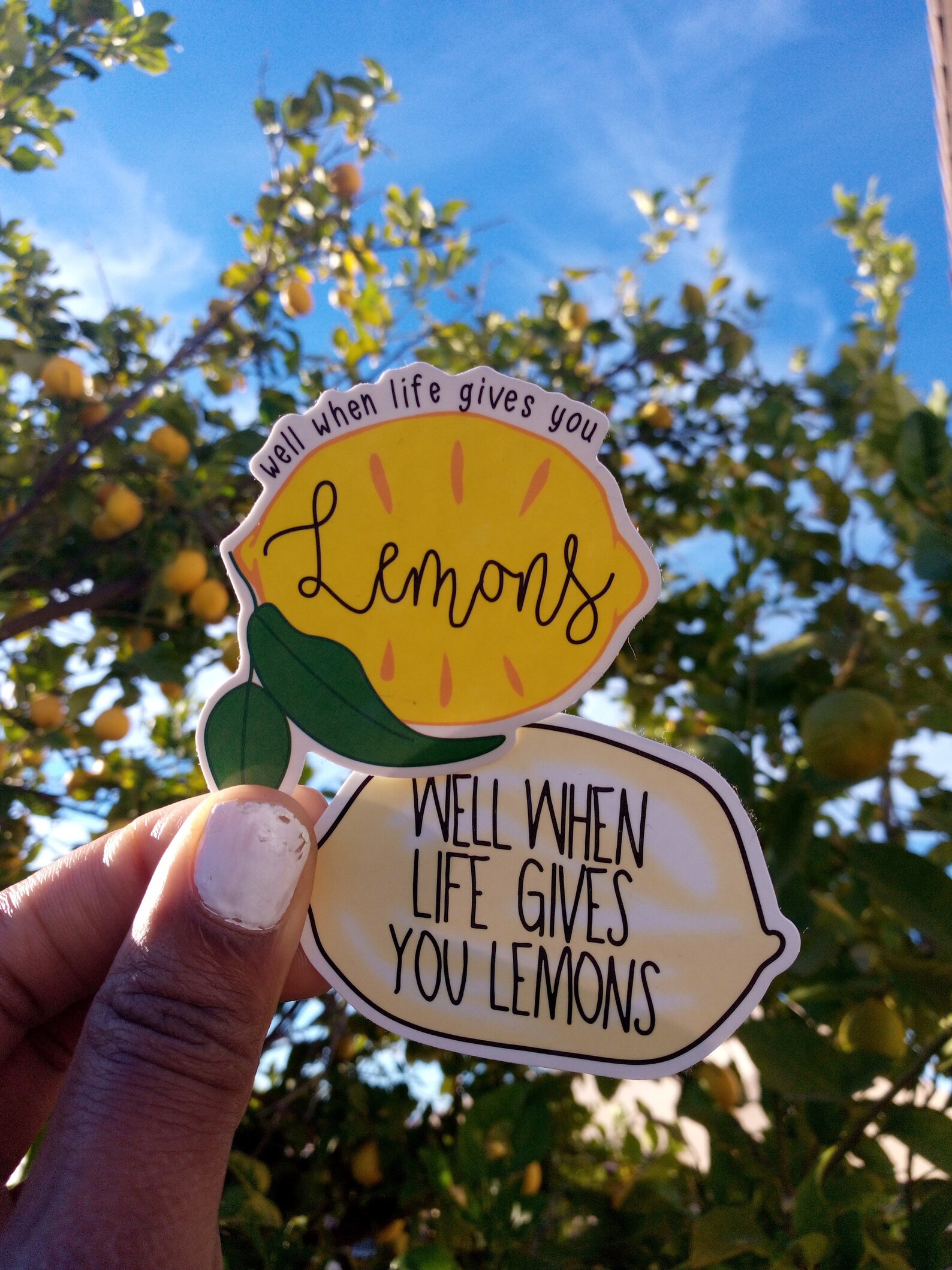 When life gives you lemons vine sticker Waterproof vinyl Etsy