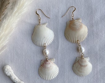 Seashell Dangle Earrings, Natural Seashell Earrings, Seashell Earrings, White Shell Earrings