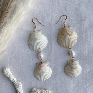 Seashell Dangle Earrings, Natural Seashell Earrings, Seashell Earrings, White Shell Earrings