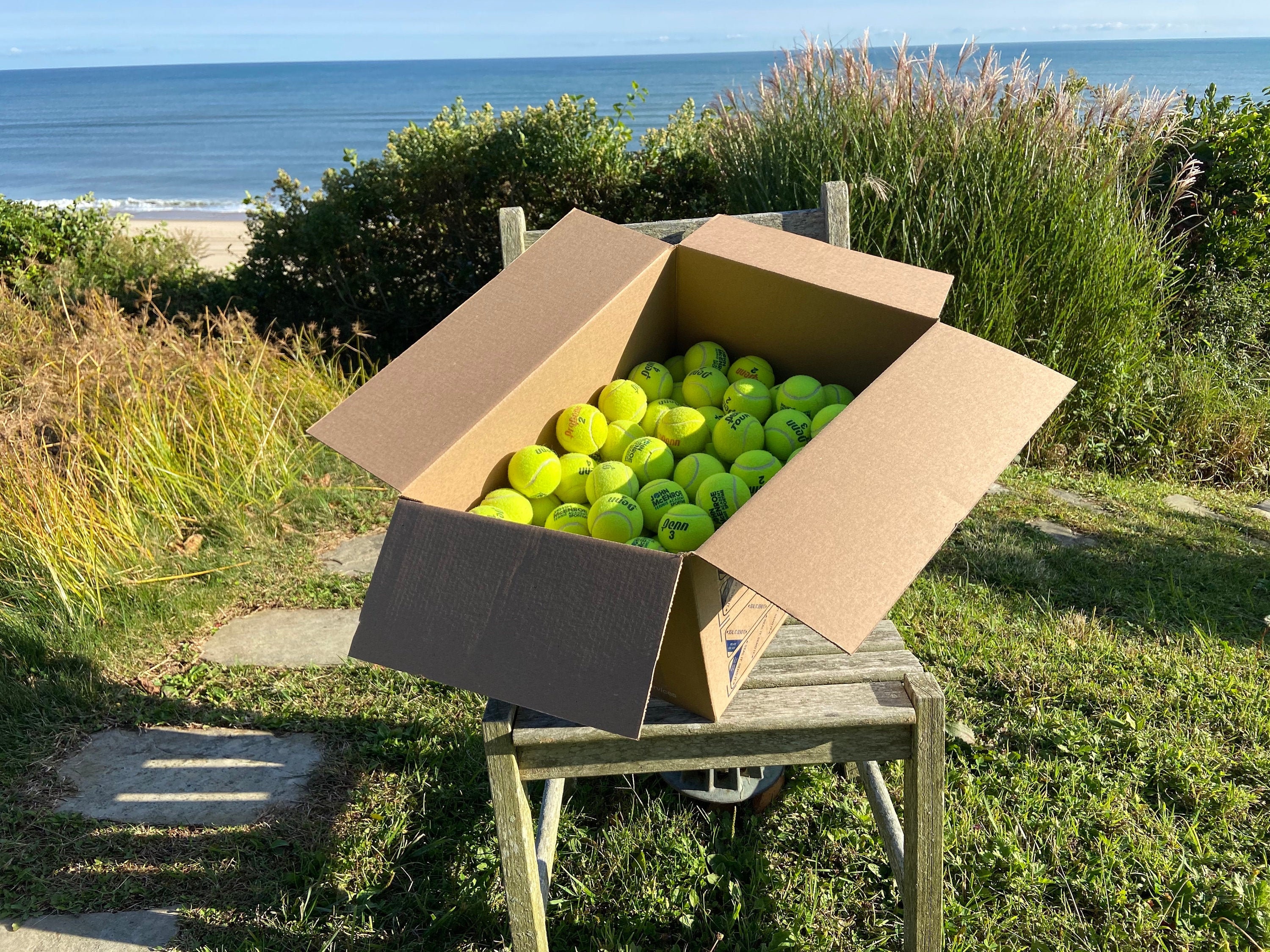Used Tennis Balls 100 Etsy