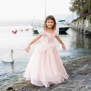 Antique Pink Princess Dress, Pink princess dress, pink dress for girls, kids dressup