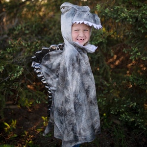 Dinosaur cape for toddler up Spinosaurus  costume cape, pretend play dressup, kids dressup, grey dinosaur