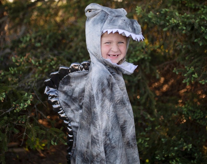 Dinosaur cape for toddler up Spinosaurus  costume cape, pretend play dressup, kids dressup, grey dinosaur