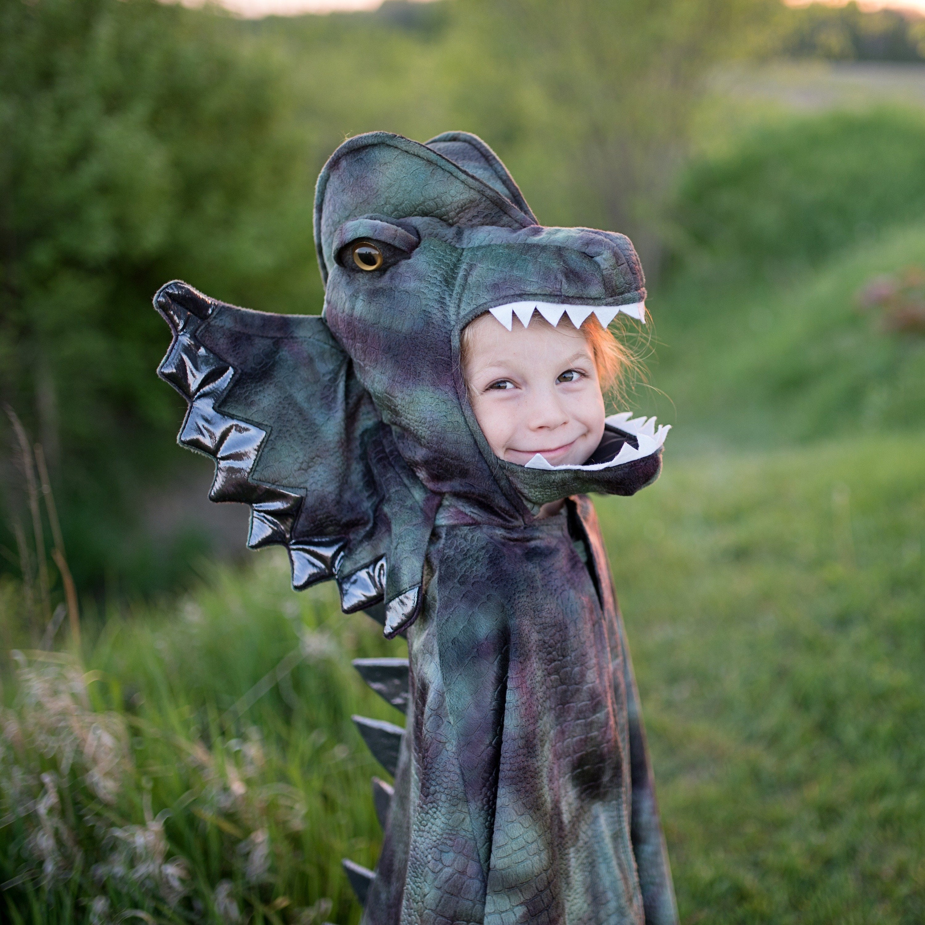 Déguisement Dinosaure Vert Enfant (Combinaison Avec Ailes Attachées Et  Capuche) …