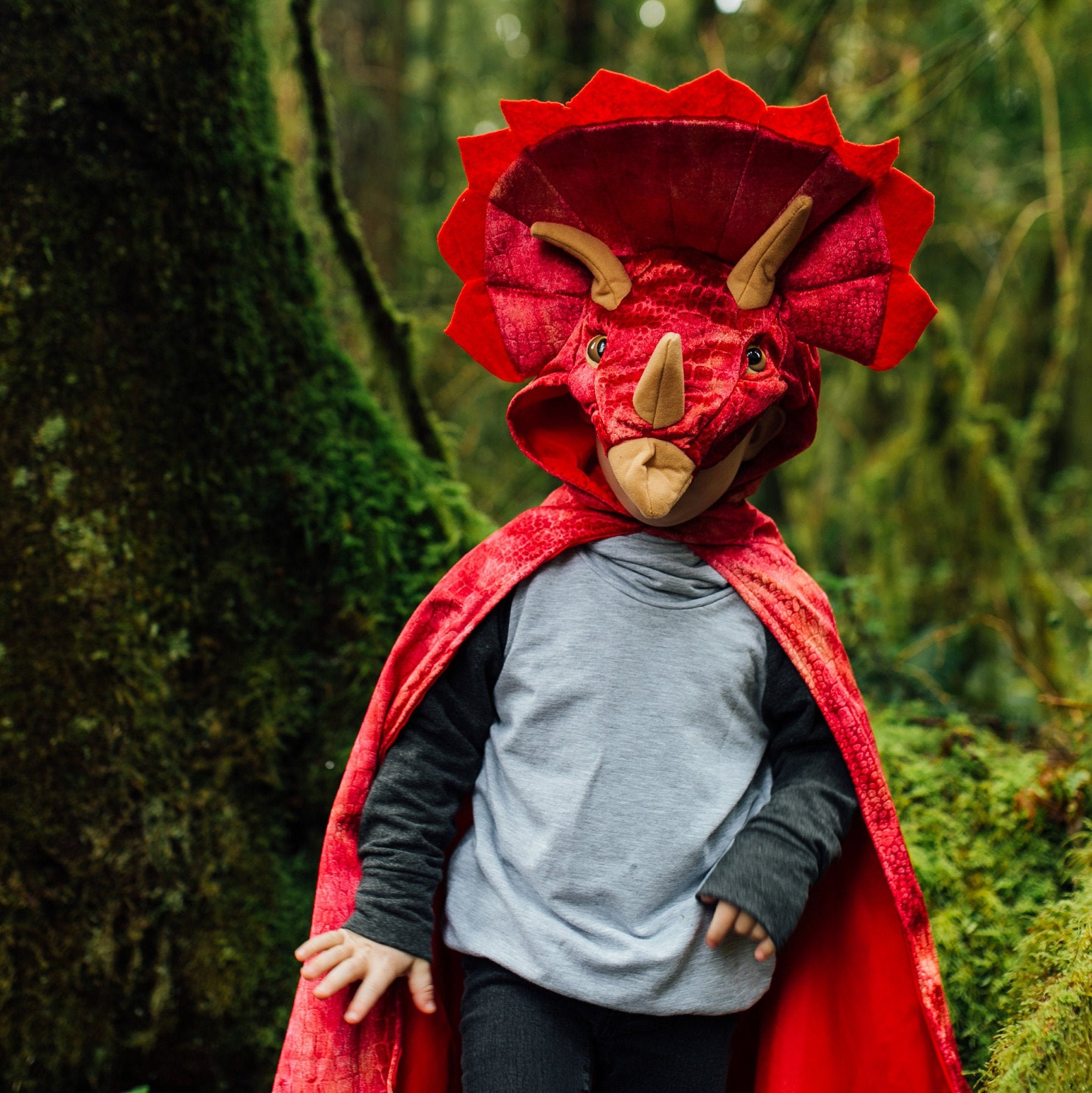 Enfants Déguisement Dinosaure Tricératops Costume Âge 2-3 Ans