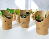 Baby Pilea Plant in Plant Cup as a Gift or Little Attention real plant Pot with Greeting Personalizable