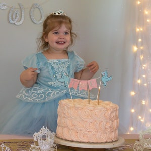 Princess cake topper, One cake topper, first birthday cake topper, Cinderella  cake topper