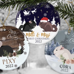 Custom chinchilla Christmas ornament, Peronalized Ebony Chin lover gift, Black Velvet chinchilla decoration,