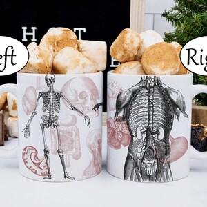 Bones and Internal Organs, Human Anatomy Gothic Ceramic Mug,nephrology ...