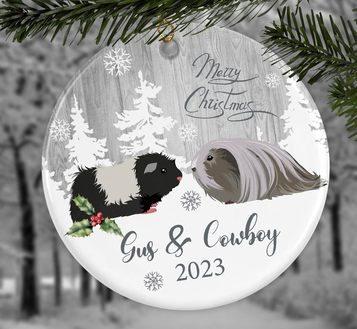 Custom Long Hair Guinea Pig Ornament, Personalized Abyssinian