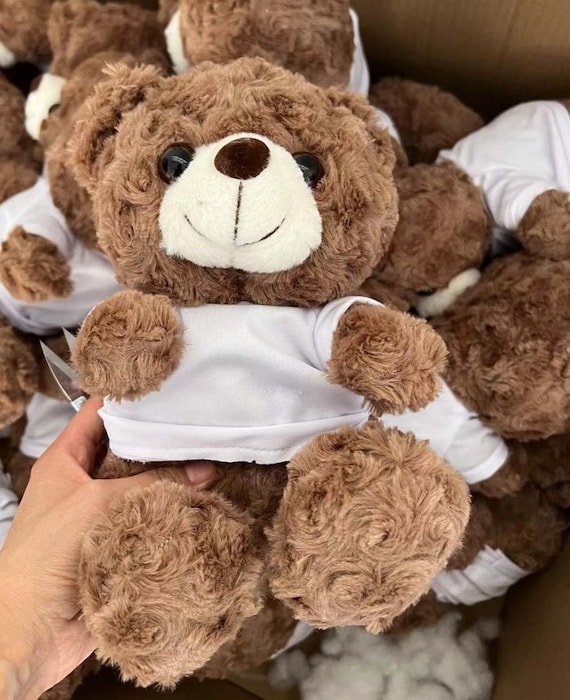 Color Me Bear Teddy Bear With T shirt and Washable Marker Draw on