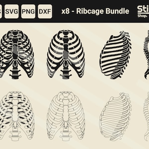 Ribcage Silhouette Bundle - Ribcage svg, Skeleton png, Skeleton Printable, Skeleton Spine svg, Rib Vector, Rib Cricut File, Ribcage T-Shirt