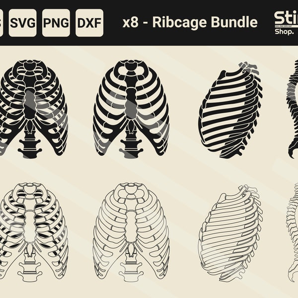 Ribcage Silhouette Bundle - Ribcage svg, Skeleton png, Skeleton Printable, Skeleton Spine svg, Rib Vector, Rib Cricut File, Ribcage T-Shirt