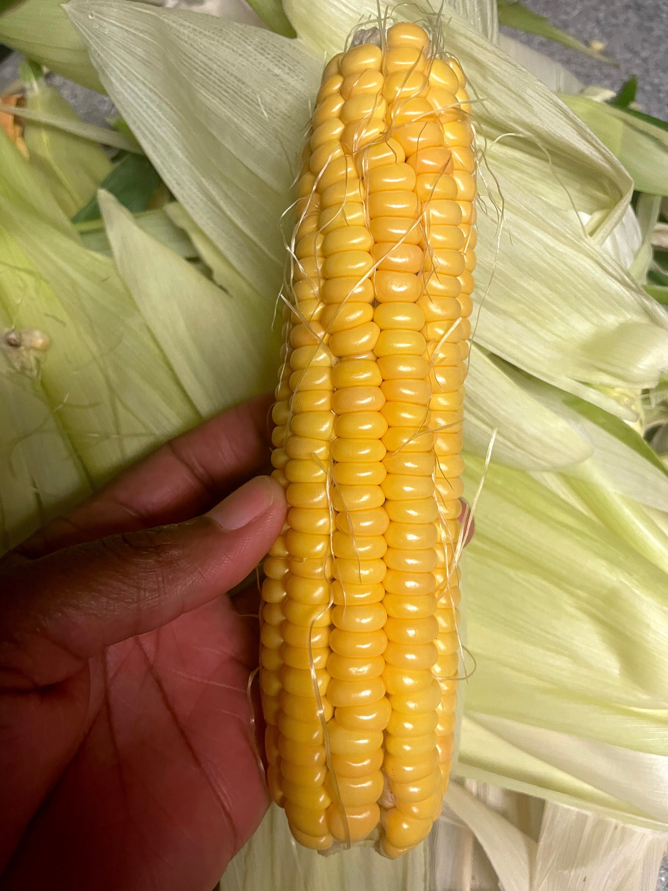 Heirloom Openpollinated Golden Bantam Sweet Corn Seeds Etsy