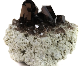 SMOKY QUARTZ GWINDELS -- Mineral Specimen -- Cavradi Gorge, Grisons, Switzerland