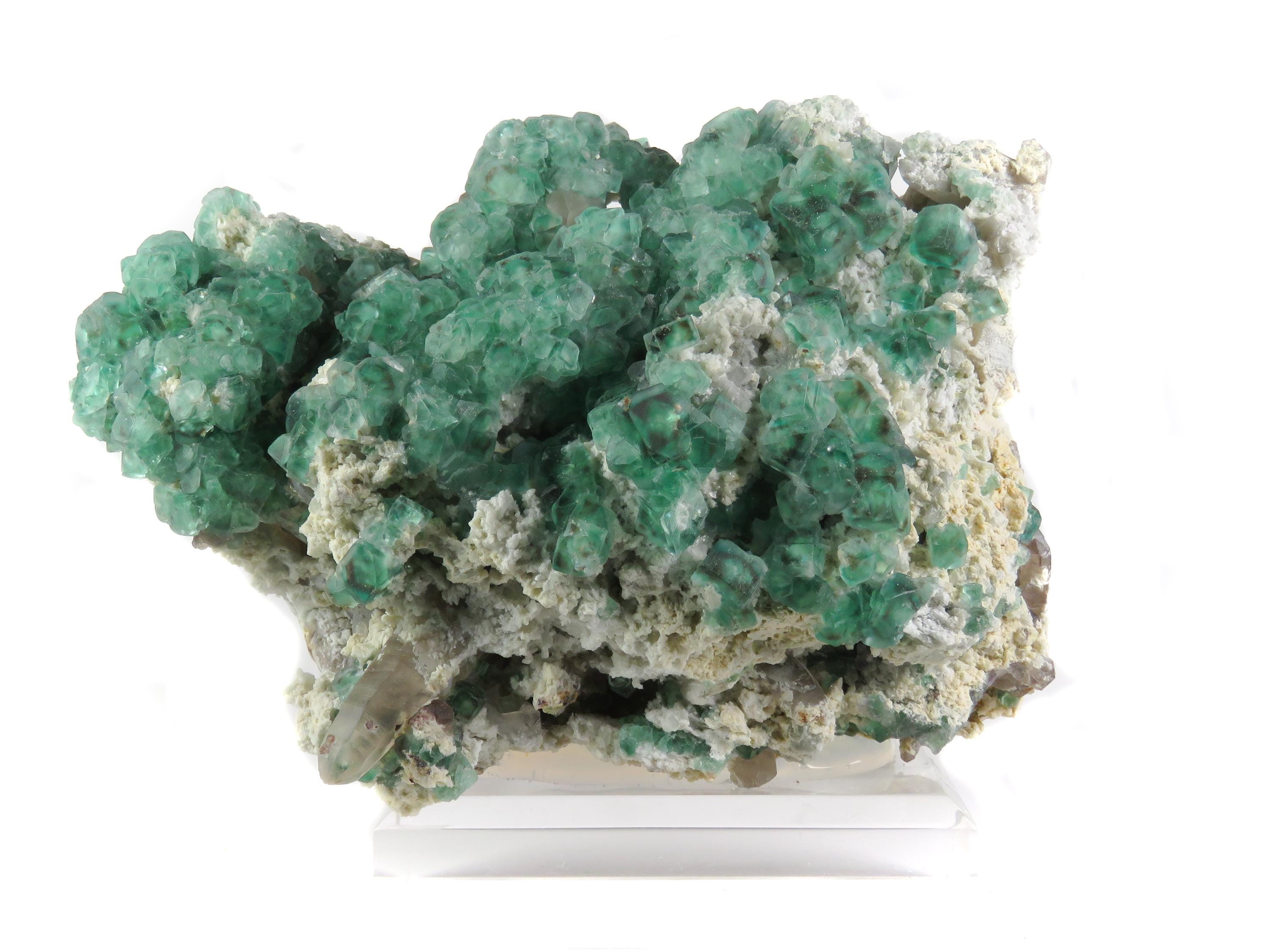 Alien eye fluorite - Etsy 日本