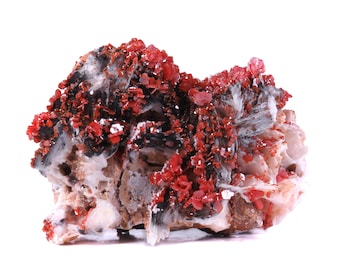 May include: A mineral specimen featuring a cluster of vibrant red crystals atop a matrix of black, white, and tan minerals. The crystals are small and densely packed, creating a textured surface. The overall shape is irregular and natural.