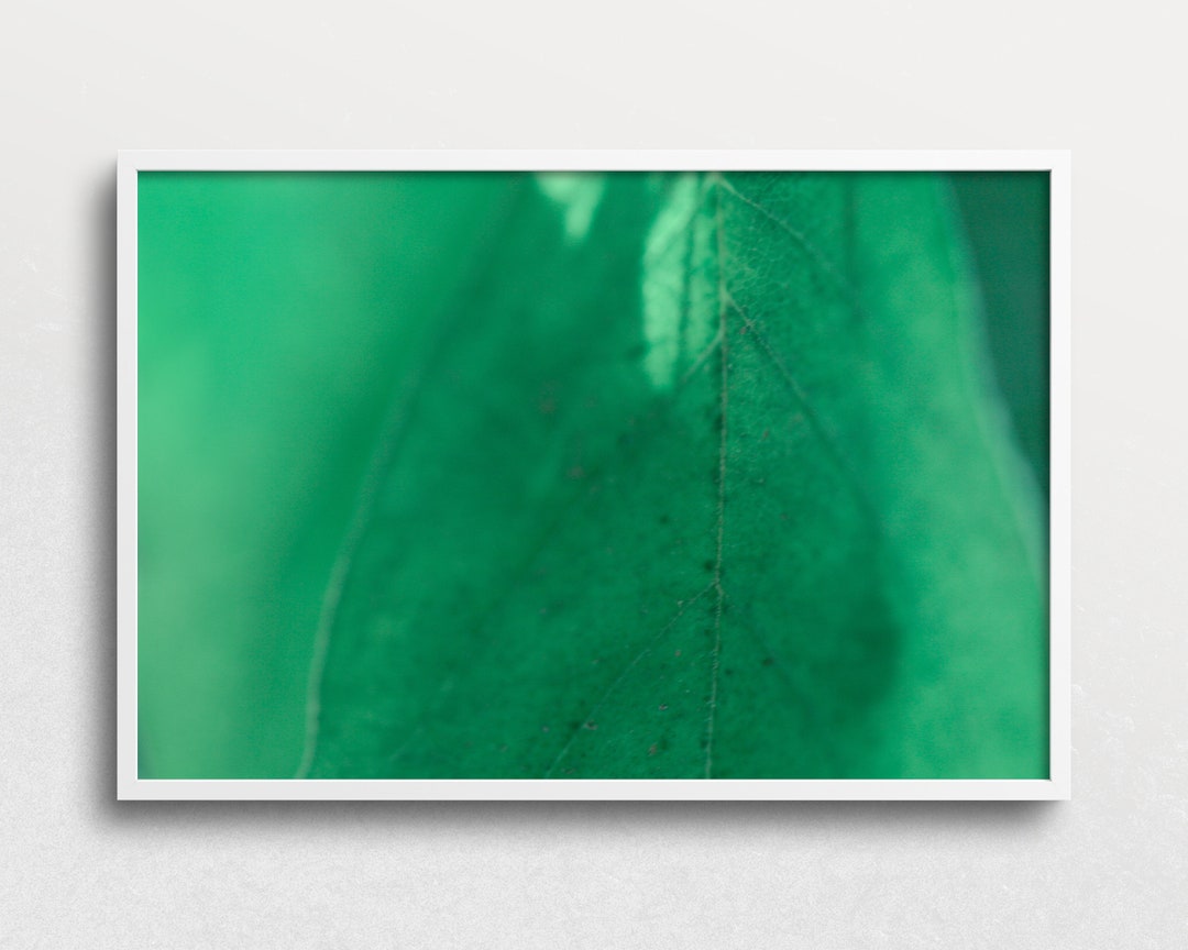 PRINTABLE Green Leaf Digital Download, Fine Macro Photography, Blur ...
