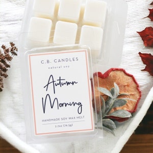 Autumn Morning Wax Melt, 100% Soy, Fall/Winter Scent, Handmade, Eco-friendly, 2.7 oz