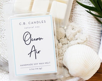 Ocean Air Wax Melt, 100% Soy Wax, Handmade, Summer/Earthy Scent, Essential Oil, Eco-friendly,  2.7 oz