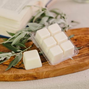 Cactus Flower Wax Melt, 100% Soy, Handmade, Fruit/Herbal Scent, Eco-friendly image 3
