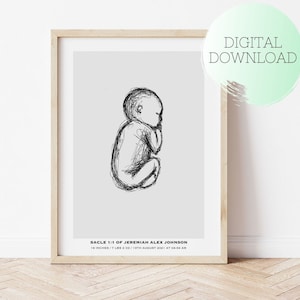 INDIVIDUELLE GEBURT Poster, Neugeborenen Illustration im Maßstab 1:1, Geschenk zur Geburt, Weihnachtsgeschenk, Kinderzimmer Deko, Baby Poster Waage