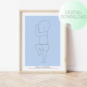 PRINTABLE CUSTOM BIRTH Poster, Newborn Illustration in scale 1:1, Birth Gift, Birth Poster, Christmas Gift, Nursery decor, Baby poster Scale