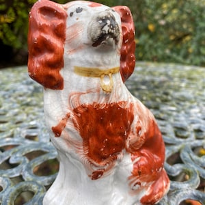 Simply Adorable Single  1850 Staffordshire Blenheim Spaniel.Porcellaneous bodied.Height 5 .5 inches