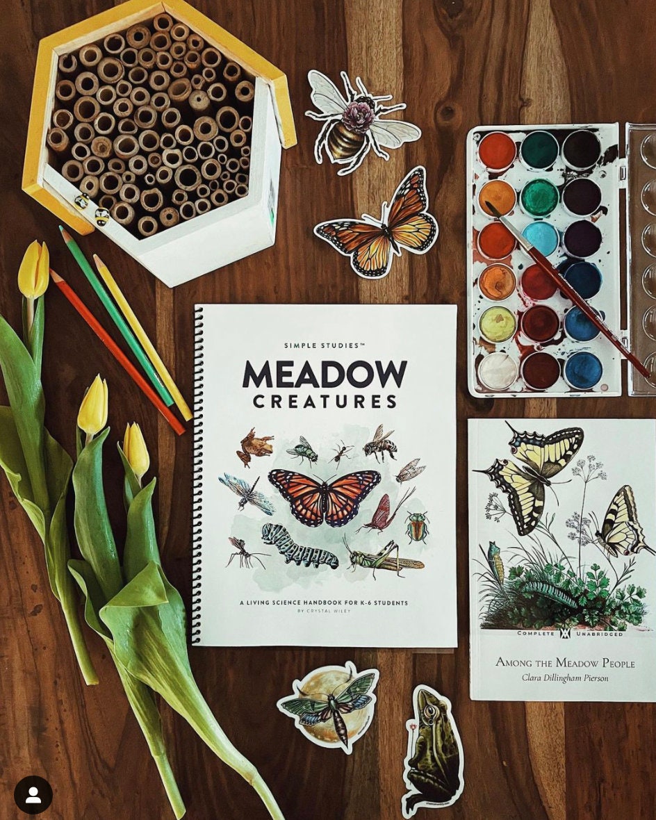 Simple Studies: Meadow Creatures